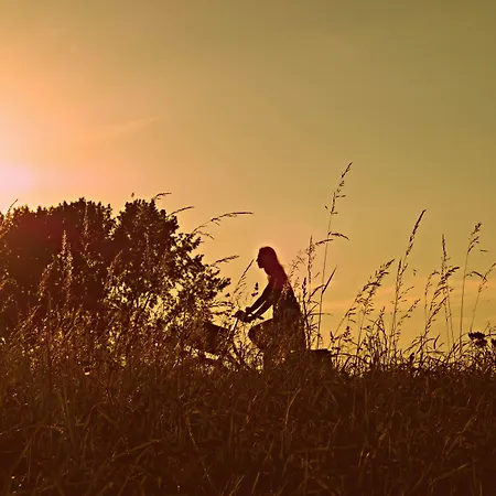 Hotel Wyndham Garden Wismar 4*